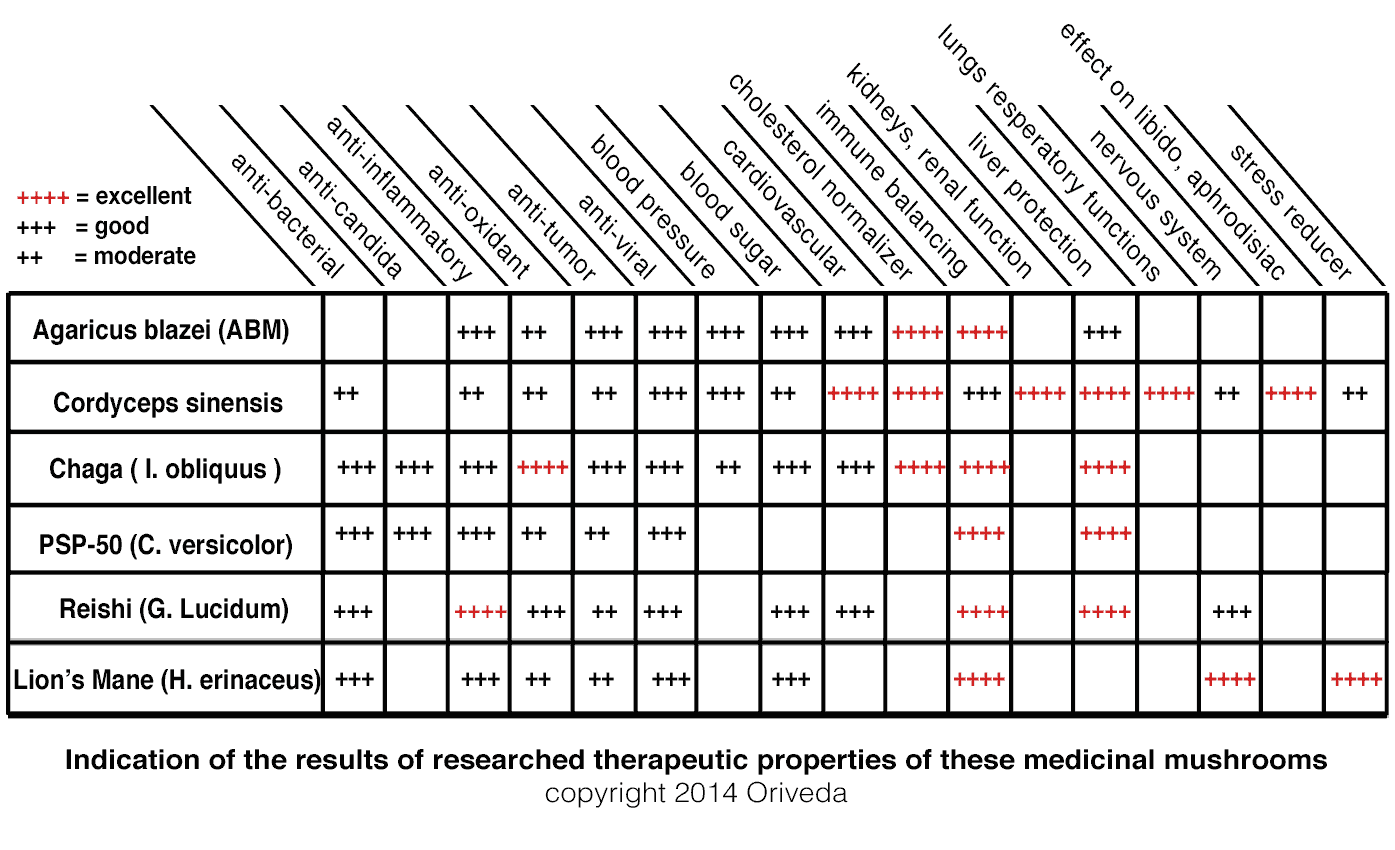 Medicinal Mushroom Chart
